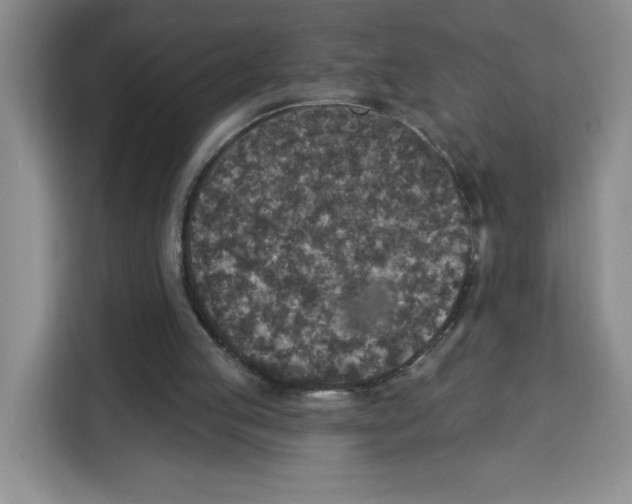 X0000115130053200911241454