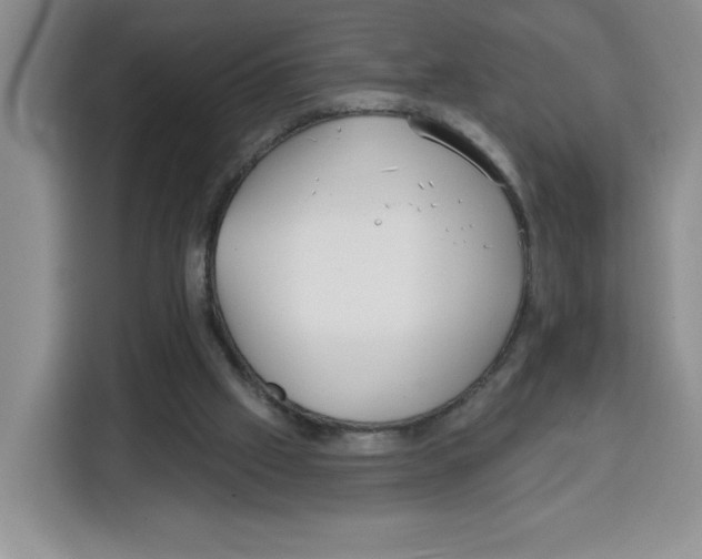 X0000115130057200911241454