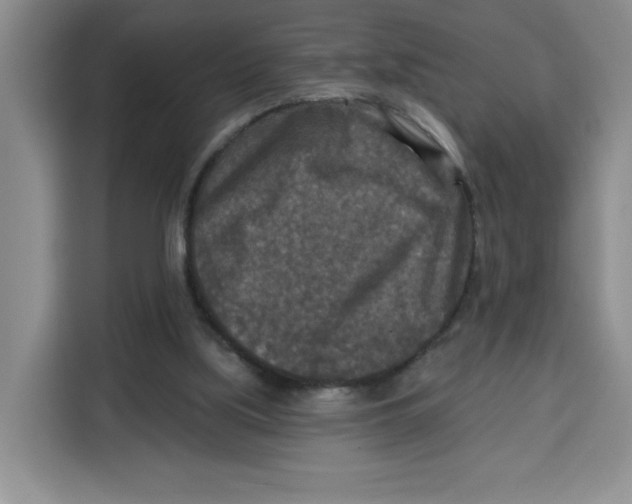 X0000115130059200911241454