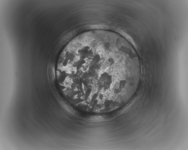X0000115130061200911241454