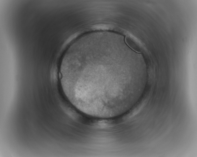 X0000115130064200911241454