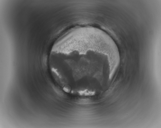 X0000115130066200911241454