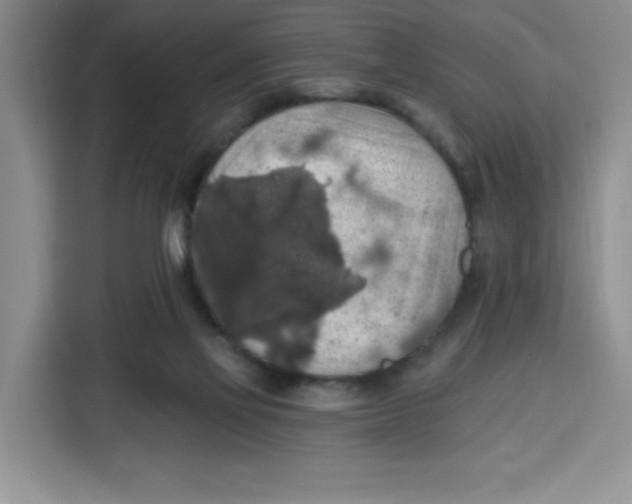X0000115130069200911241454
