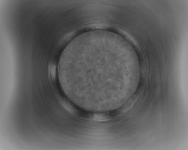 X0000115130070200911241454