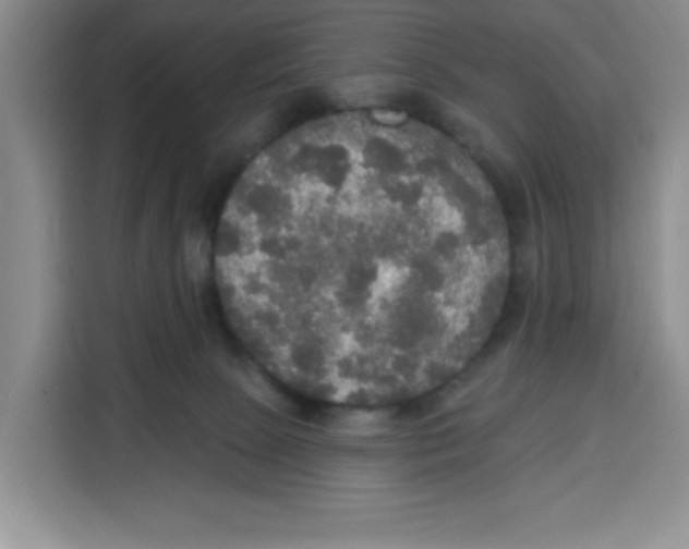 X0000115130081200911241454