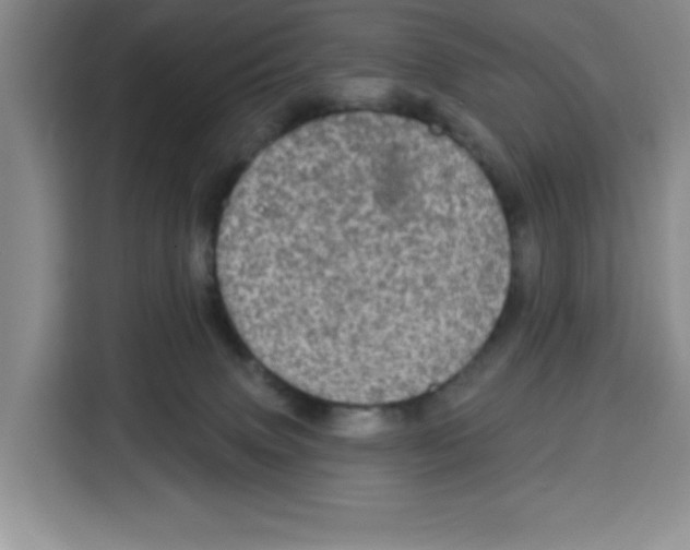X0000115130083200911241454