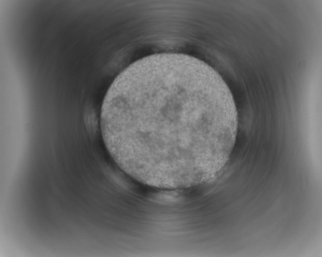 X0000115130086200911241454