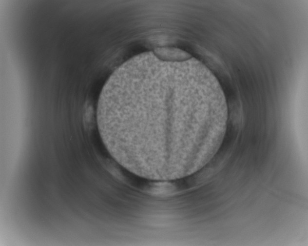X0000115130087200911241454