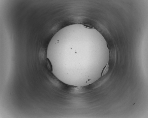 X0000115130092200911241454
