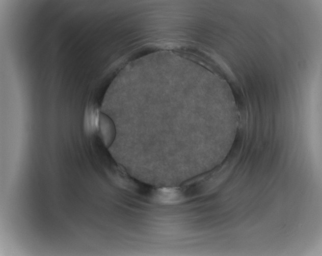 X0000115130095200911241454