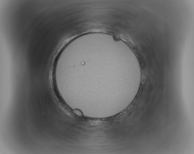X0000115130098200911241454
