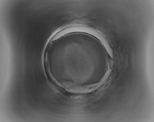 X0000115130100200911241454