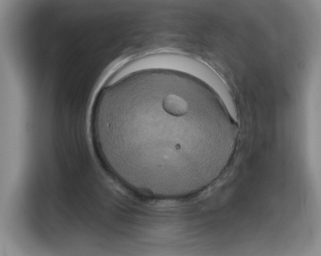 X0000115130104200911241454