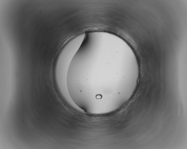 X0000115130105200911241454