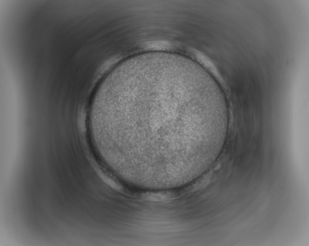 X0000115130106200911241454