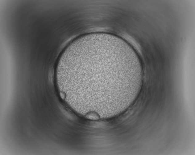 X0000115130107200911241453
