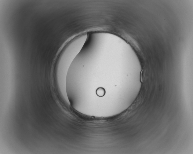 X0000115130108200911241453