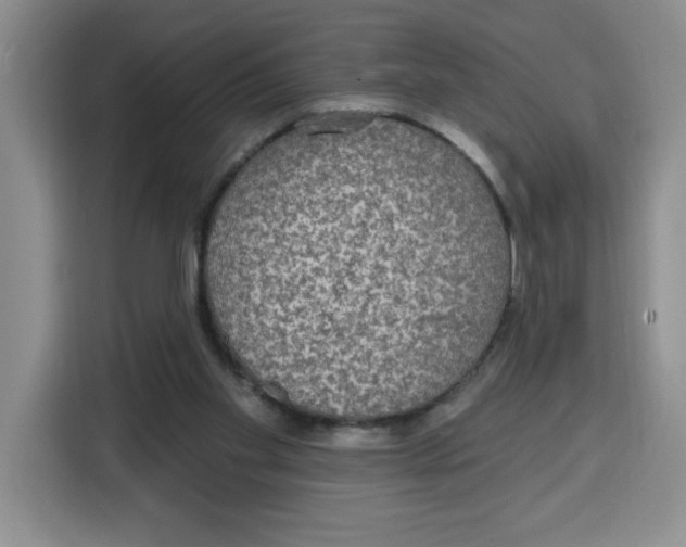 X0000115130109200911241453