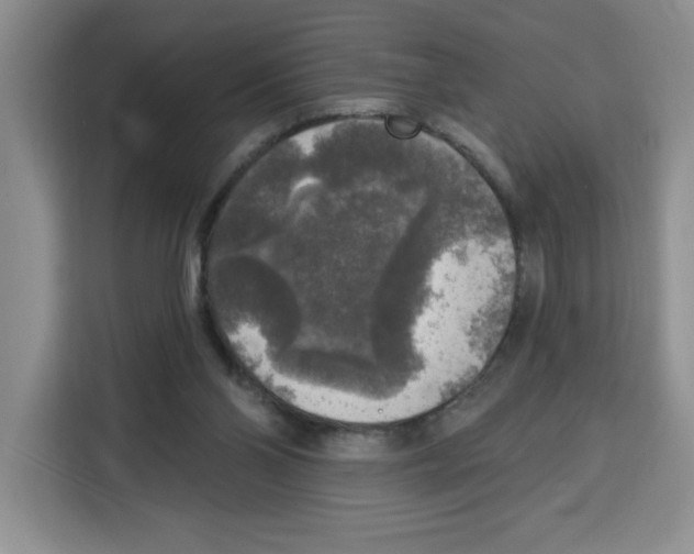 X0000115130110200911241453
