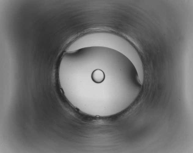 X0000115130111200911241453