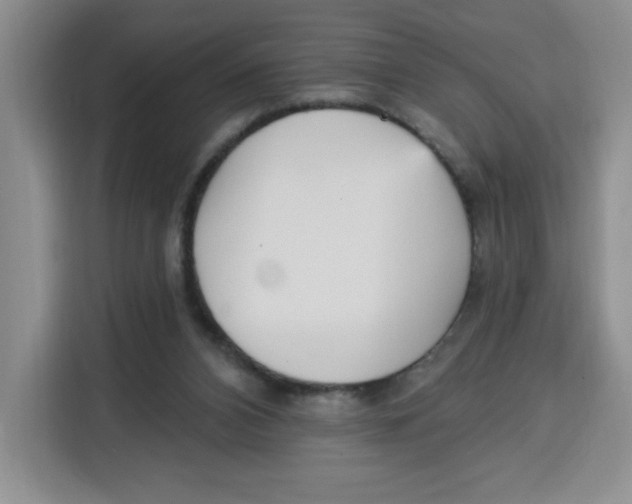 X0000115130112200911241453