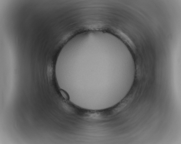 X0000115130113200911241453
