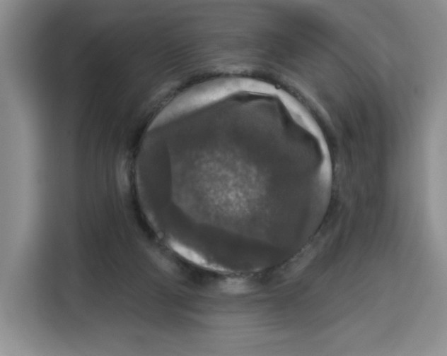 X0000115130114200911241453