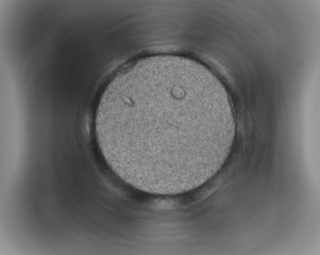 X0000115130115200911241453