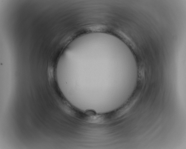 X0000115130117200911241453