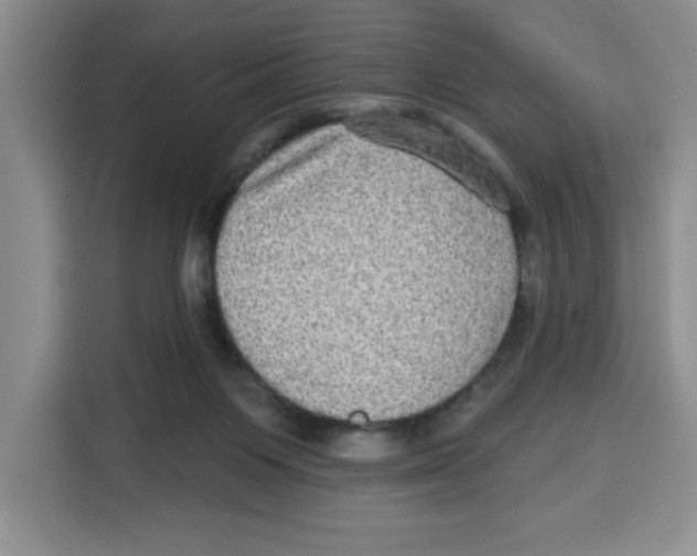 X0000115130119200911241453