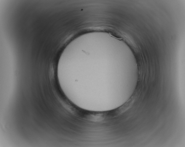 X0000115130120200911241453