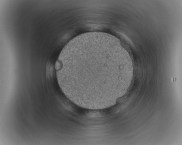 X0000115130123200911241453