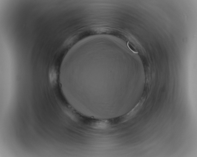 X0000115130124200911241453