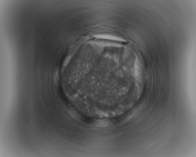 X0000115130127200911241453
