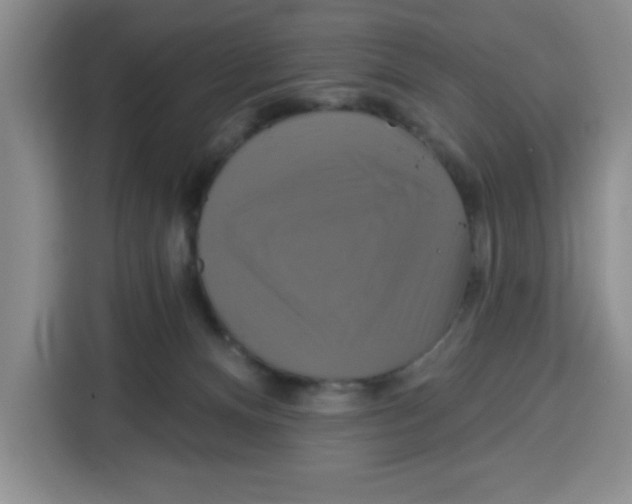 X0000115130128200911241453