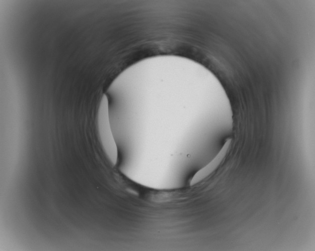 X0000115130129200911241453