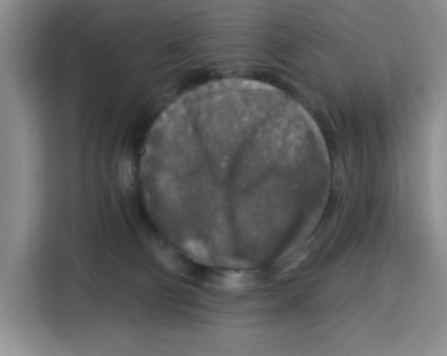 X0000115130130200911241453