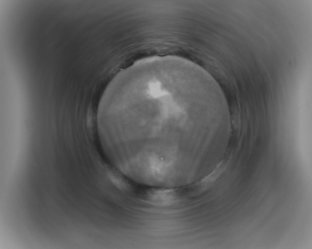 X0000115130132200911241453