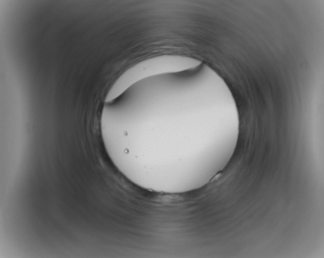 X0000115130137200911241453