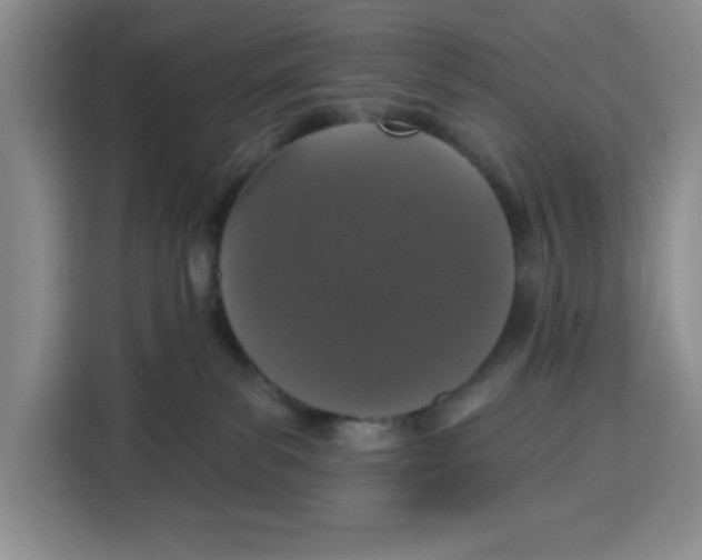 X0000115130139200911241453