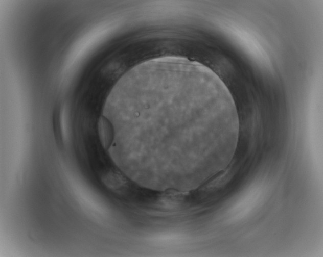 X0000115130140200911241453