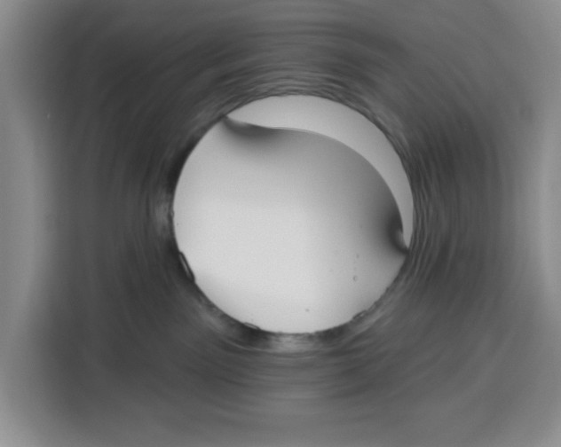 X0000115130141200911241453