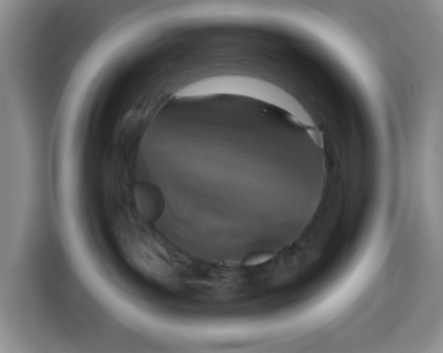 X0000115130143200911241453