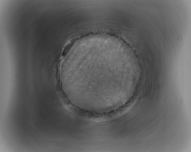 X0000115130144200911241453