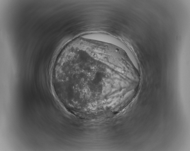 X0000115130145200911241452