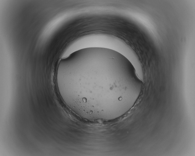 X0000115130146200911241452