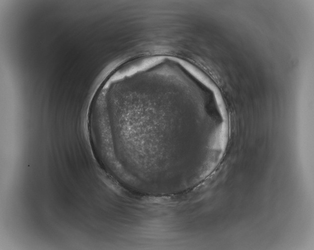 X0000115130147200911241452