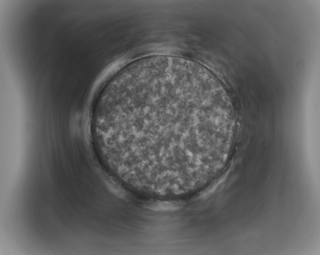 X0000115130149200911241452