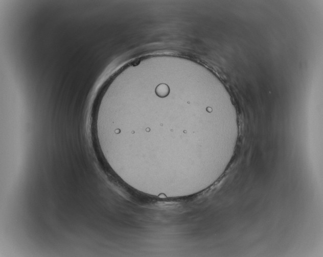 X0000115130150200911241452