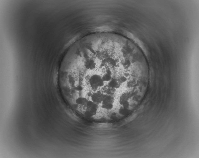 X0000115130153200911241452
